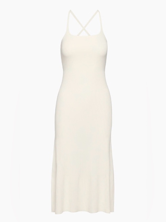 Aritzia Dresses & Skirts - NWOT Aritzia Dresden Dress